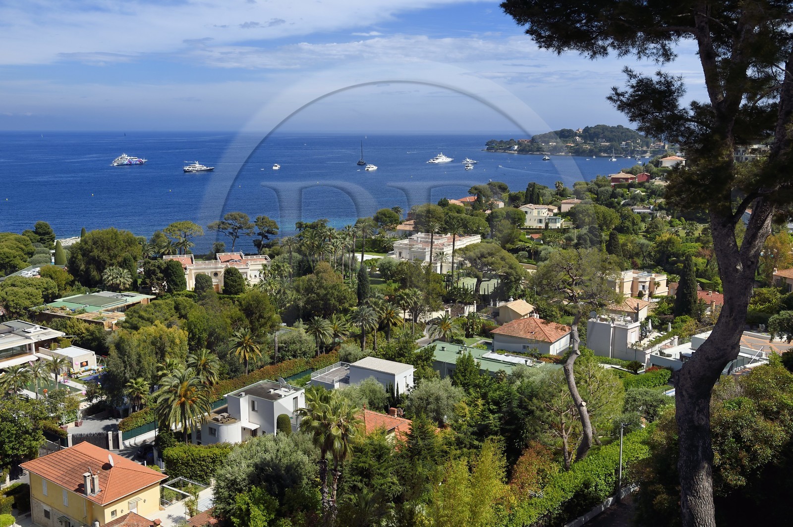 France, Alpes Maritimes (06), belles villas de Saint-Jean-Cap-Ferrat