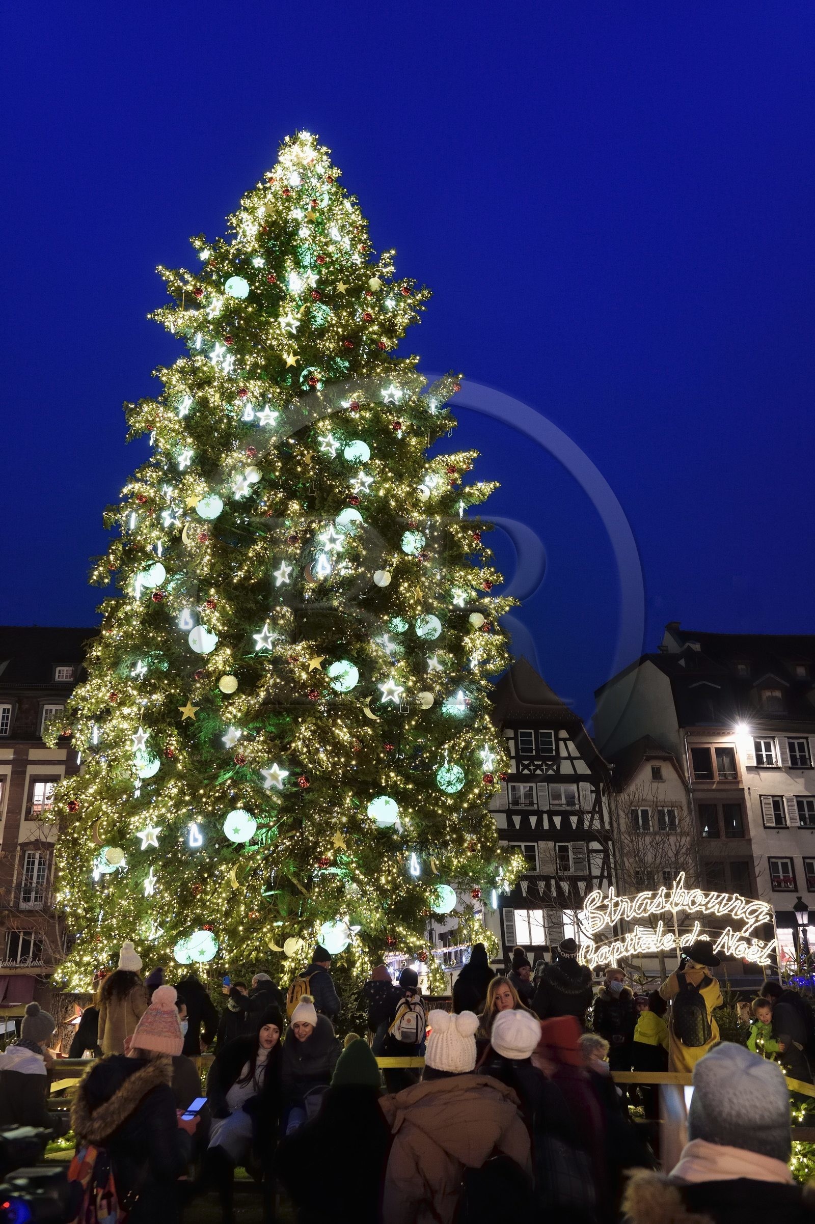 France, Bas-Rhin (67), Strasbourg, vieille ville classée au Patrimoine Mondial de l’UNESCO, le Grand Sapin de Noël de la place Kléber