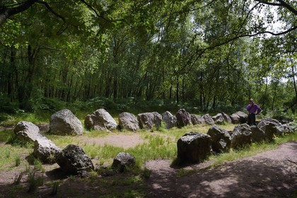 France, Morbihan (56), forêt de Brocéliande, le Jardin aux Moines, site mégalithique daté de 3000 à 2500 av J.C.