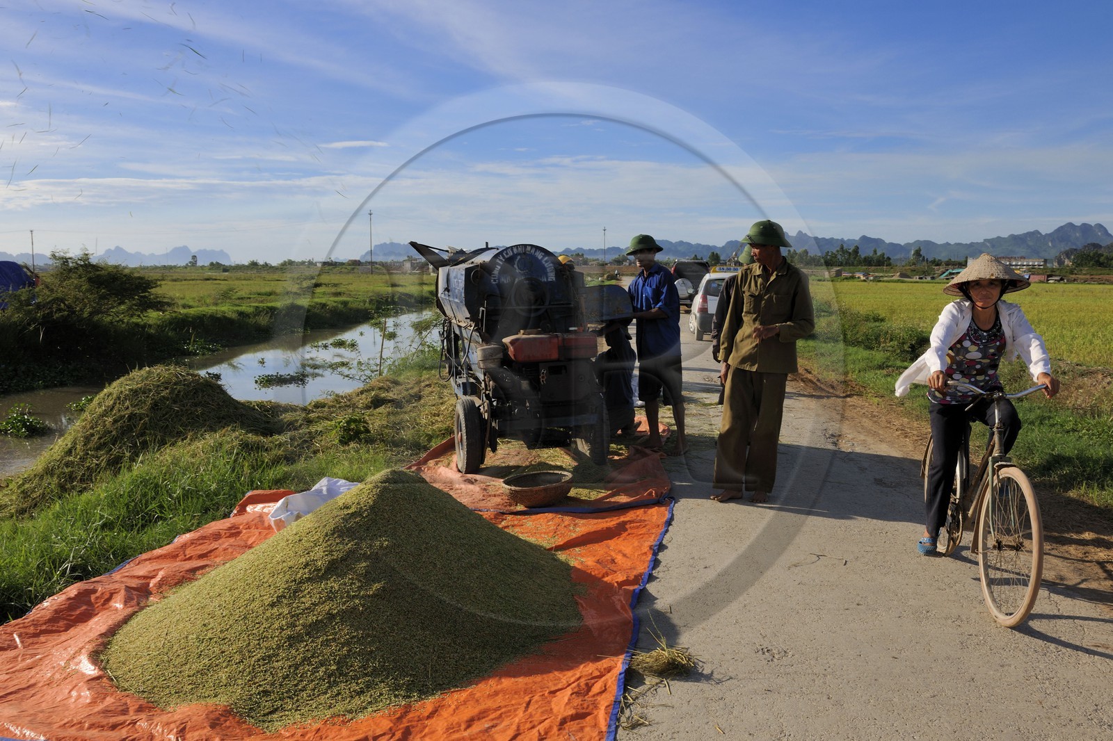 Vietnam, Ninh Binh province, threshing ricewith with a machine