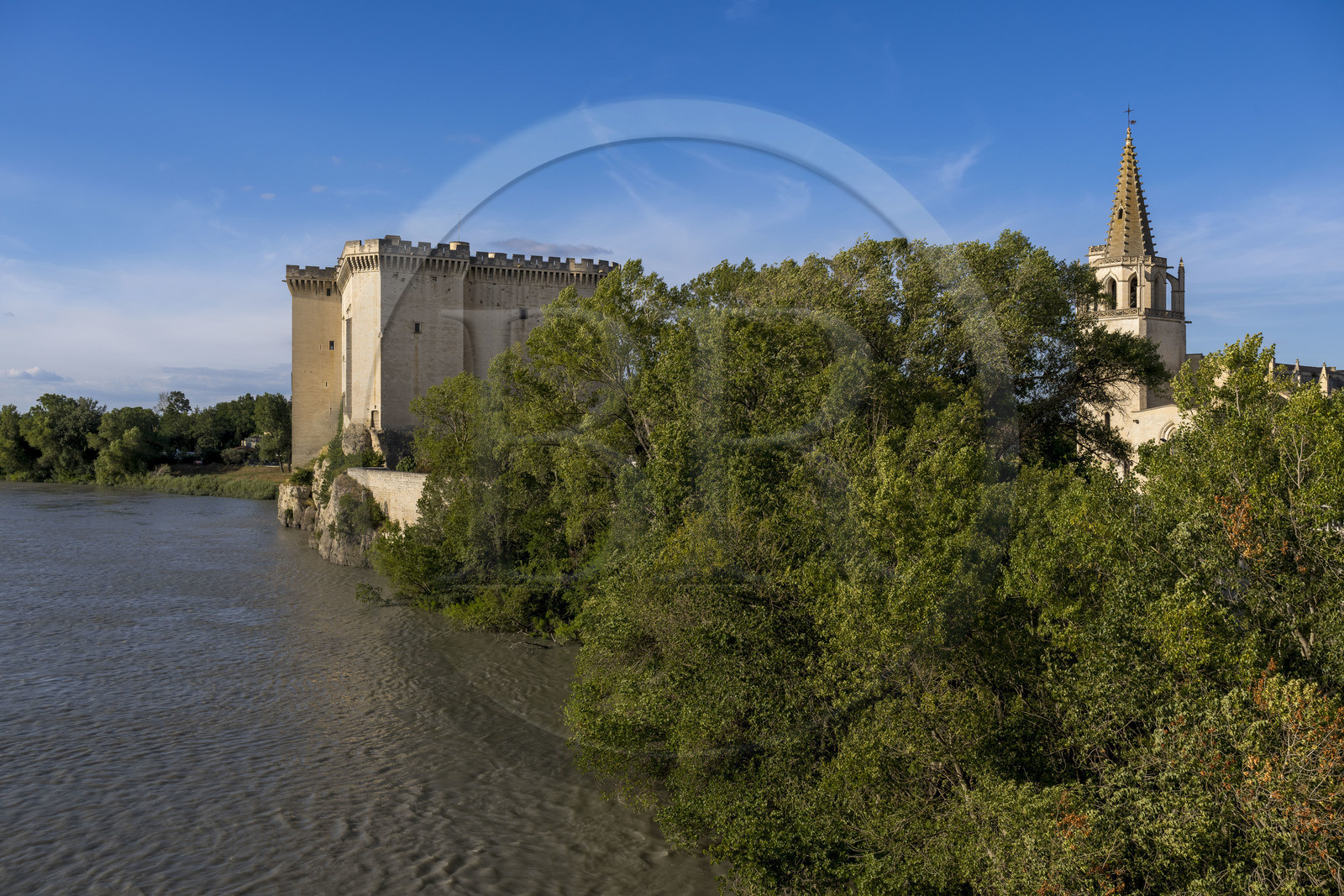 France, Bouches-du-Rhône (13), Tarascon, le chateau du roi René datant du XVe siècle en bordure du Rhone et la collégiale royale Sainte-Marthe érigée aux XIe et XIIe siècles