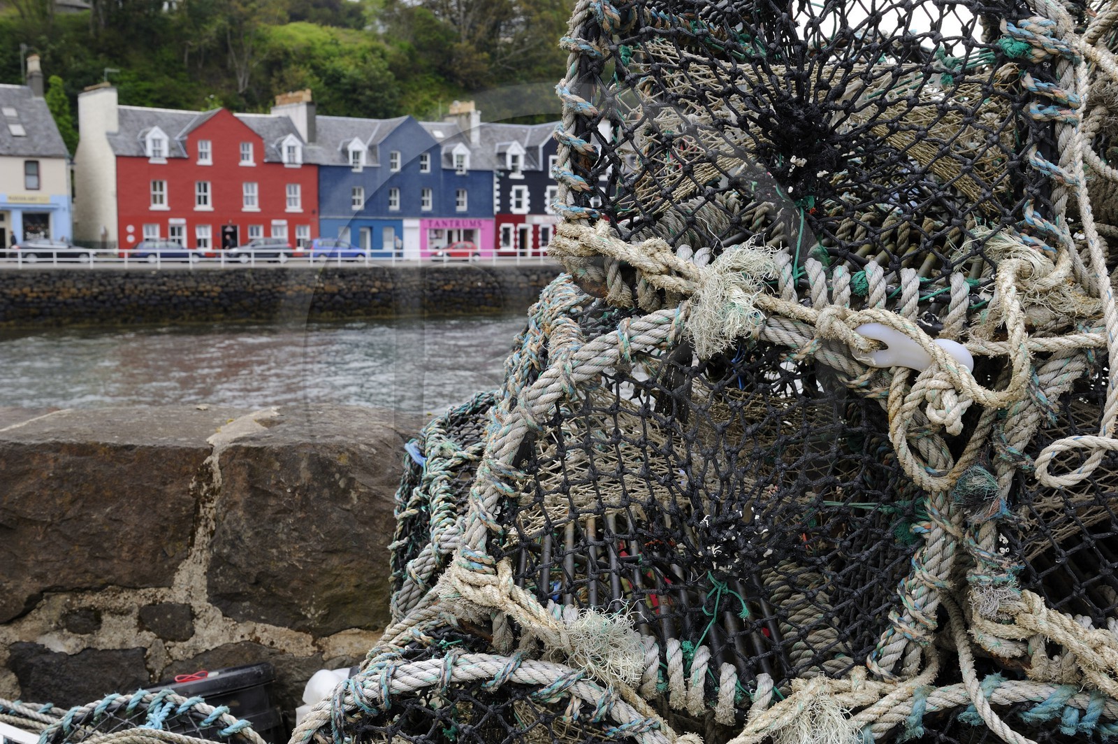 Royaume-Uni, Ecosse, Highland, Hébrides intérieures, Ile de Mull, port de Tobermory