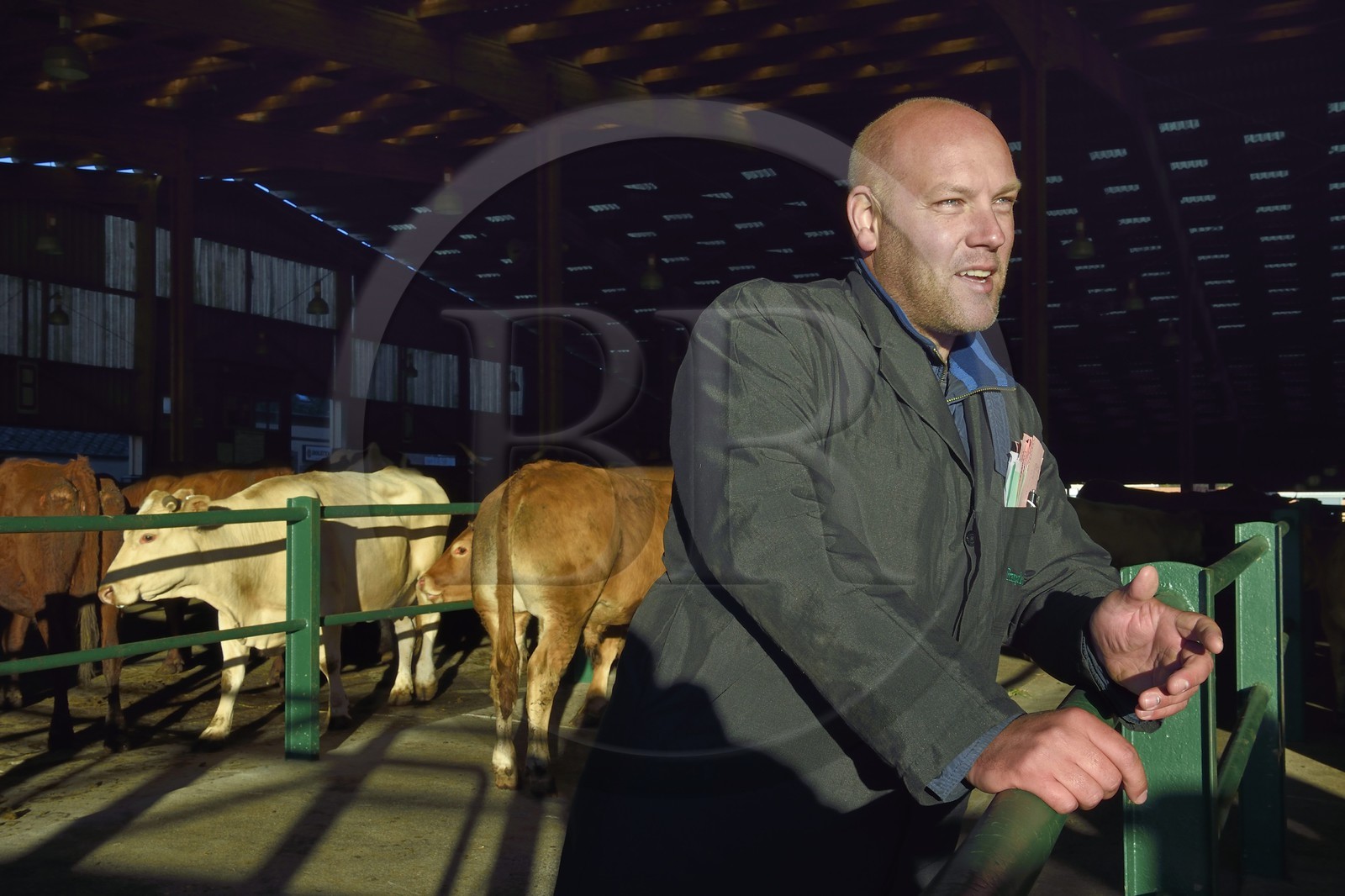 France, Seine-Maritime (76), Forges-les-eaux, marché couvert aux bestiaux, Stéphane François négociant de Bestiaux
