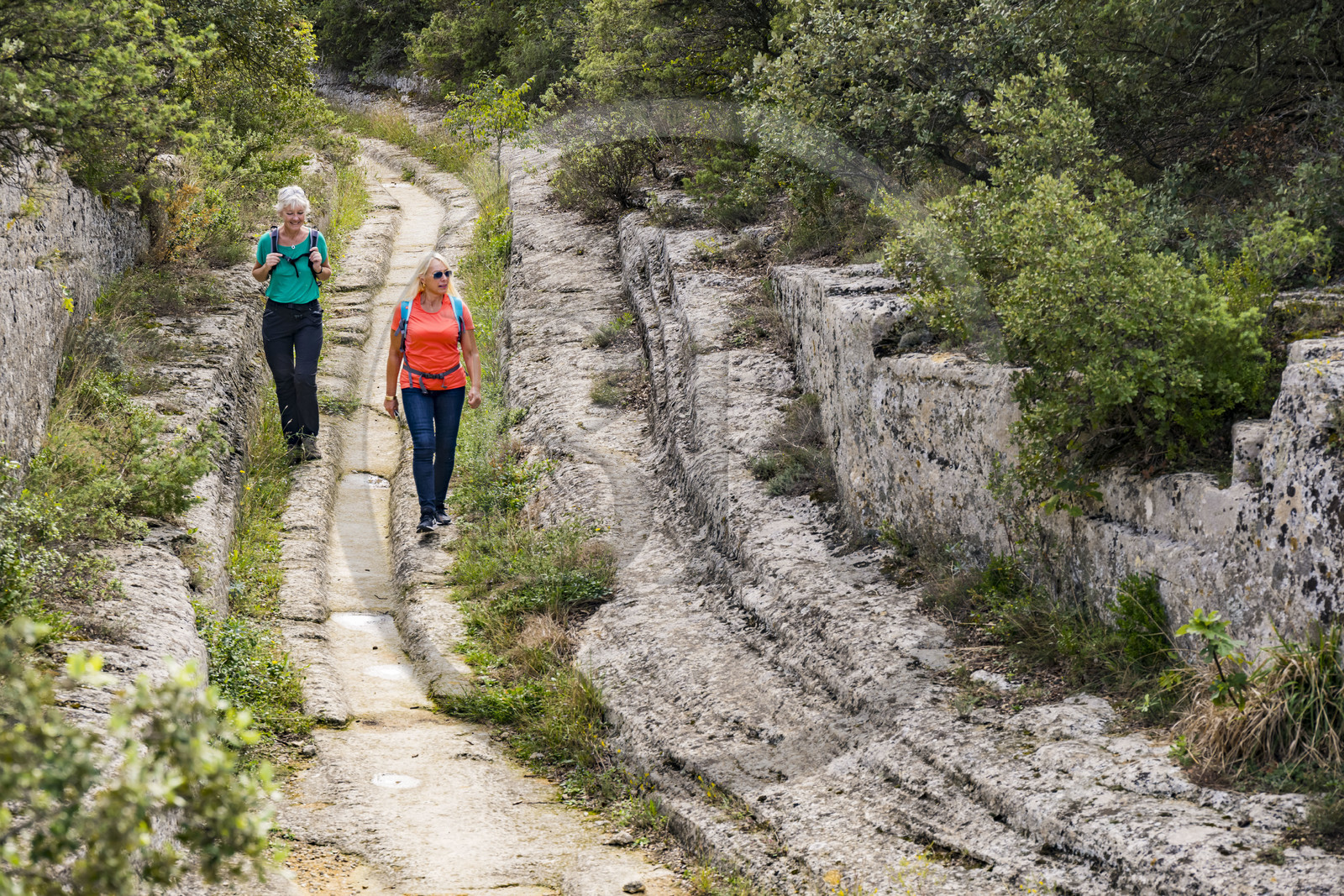 France, Gard, Vers Pont du Gard, stone quarries on the route of the Roman aqueduct of Nimes, deep ruts left in the rock of the path by the wheels of the carts that have traveled there since Roman times
