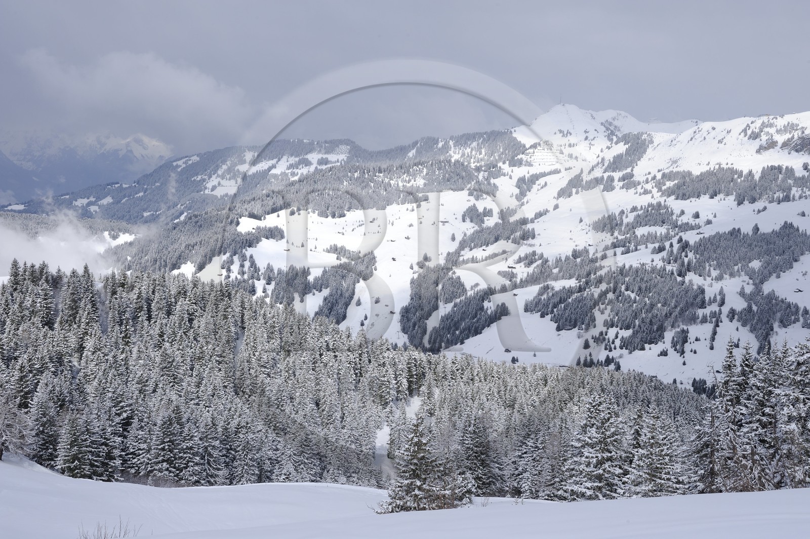 Switzerland, Canton of Vaud, Villars sur Ollon - Gryon ski area
