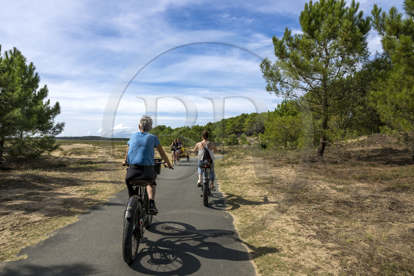 France, Charente-Maritime (17), Royan, Les Mathes, cyclistes sur la Vélodyssée, la piste cyclable EuroVelo1 qui longe l’Atlantique au nord de La Palmyre