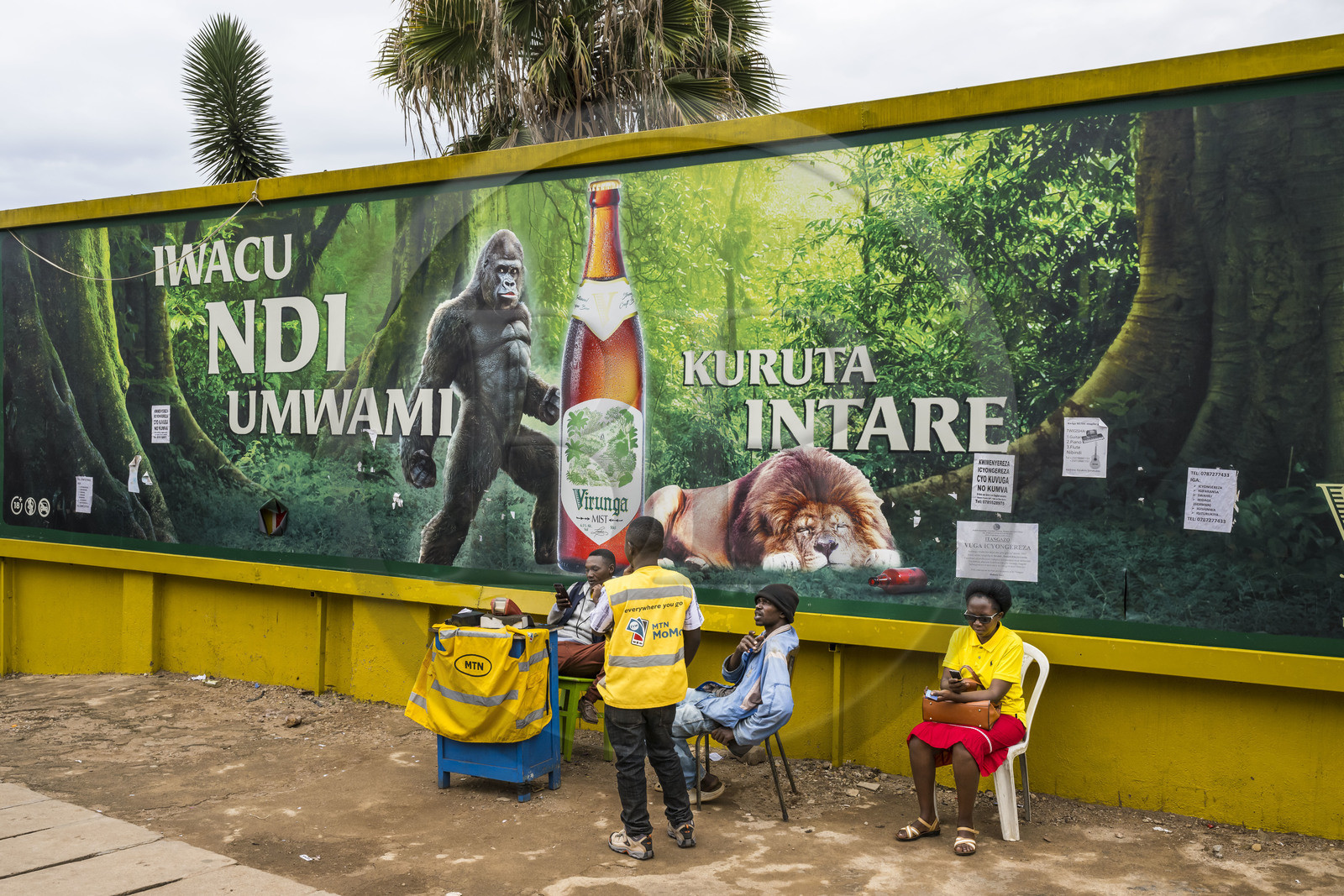 Rwanda, Kigali, publicité pour la bière Virunga fabriquée au Rwanda mettant en scène un gorille