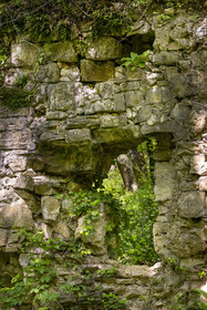 France, Vaucluse, Dentelles de Montmirail mountains, Sablet, ruined site of a 7th-century abbey of nuns in the Prébayon valley