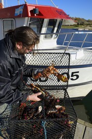 Suède, Västra Götaland, Iles Koster, Sydkoster, port de Ekenäs, retour de pêche au homard