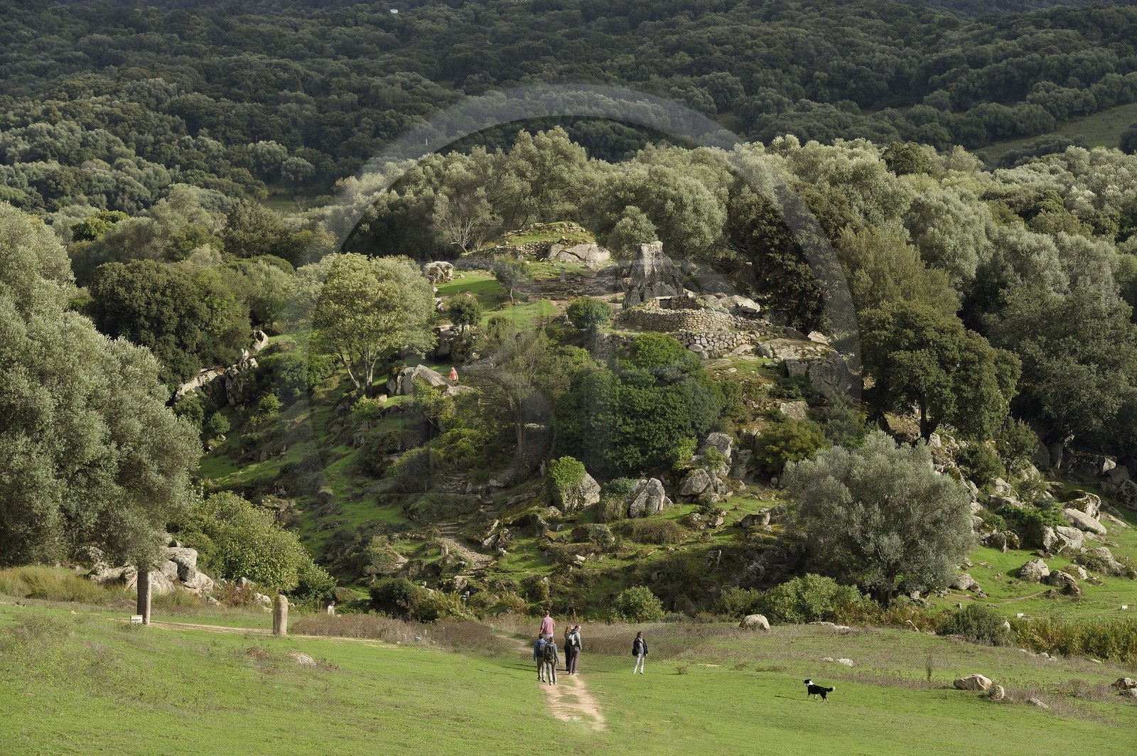 France, Corse-du-Sud (2A), site préhistorique de Filitosa, alignement de statues menhirs et l'oppidum en arrière plan
