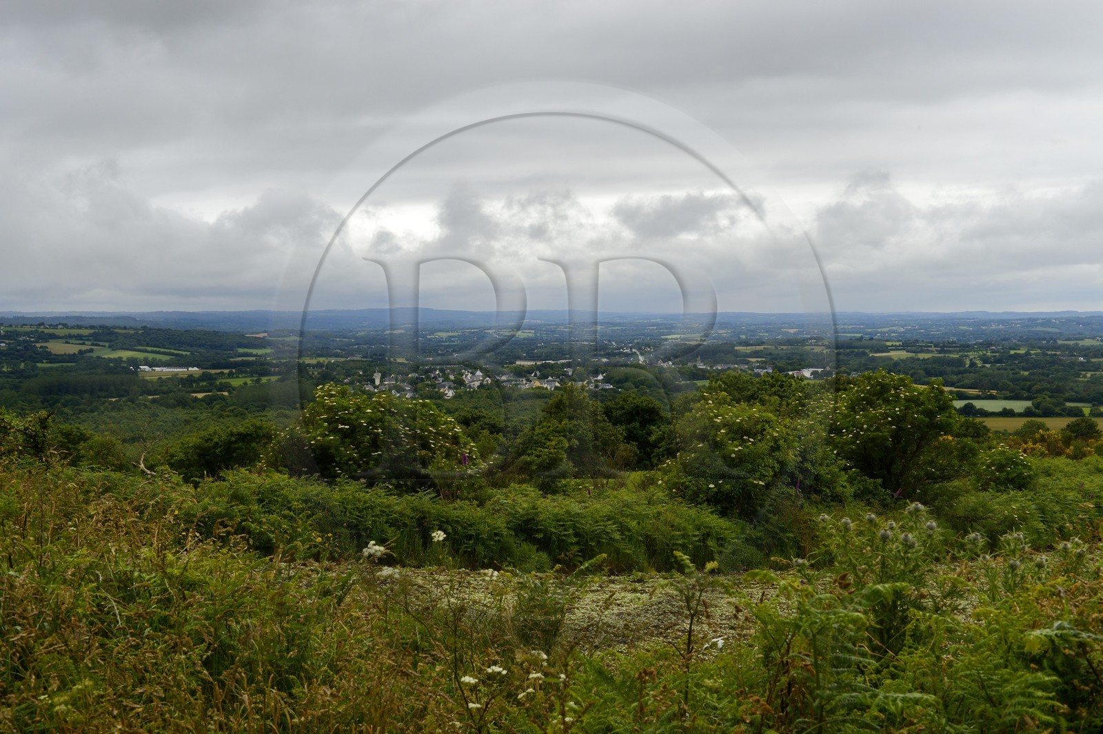 France, Cotes-d'Armor, point of view of the Tregor from the top of Menez Bre