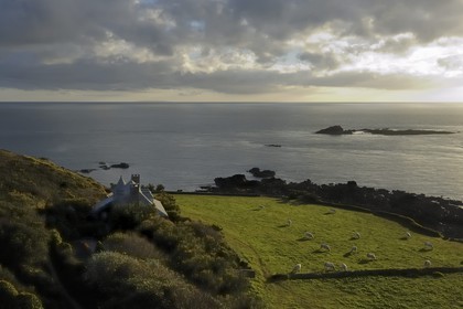 France, Manche (50), Cap de la Hague, le petit port de Goury, vaches dans les prés