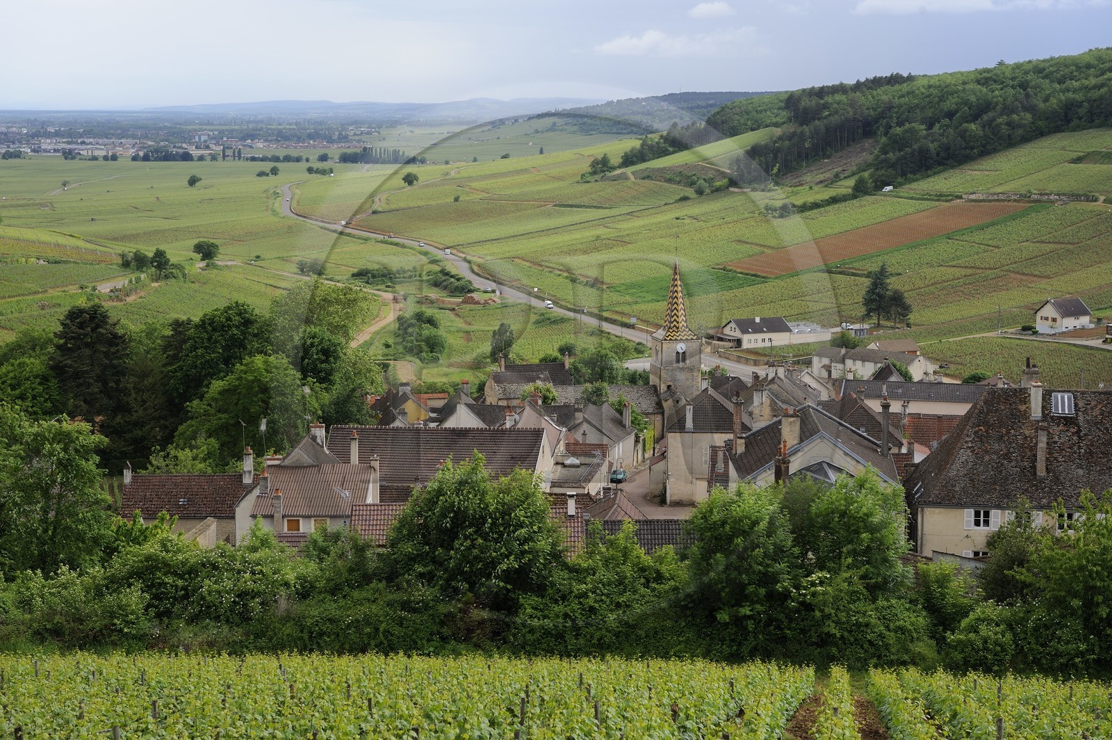France, Côte d'Or (21), Pernand-Vergeles et la côte de Beaune
