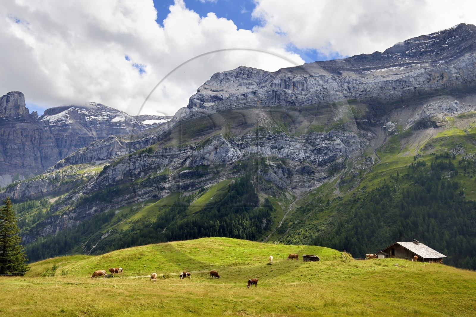 Suisse, Canton de Vaud, Ormont-Dessus, Les Diablerets, ferme vers le lac Retaud au dessus du Col du Pillon et la montagne de Schluchhorn en arrière plan