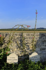 France, Val-d'Oise (95), parc naturel régional du Vexin français, Auvers-sur-Oise, cimetière, les tombes de Vincent et Théodore Van Gogh