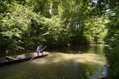 France, Bas-Rhin (67), région d'Ebersmunster et Muttersholtz, le Grand Ried, le batelier Patrick Unterstock dans une barque à fond plat en bois sur la rivière l'Ill