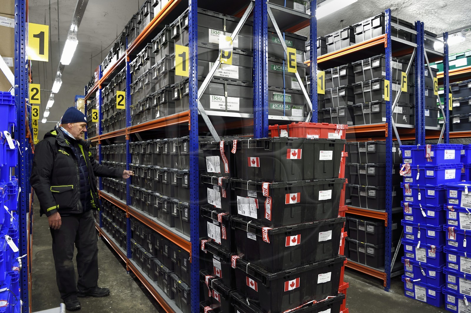 Norway, Svalbard, Spitzbergen, Longyearbyen, Svalbard Global Seed Vault (Seed Bank), seed storage room artificially maintained at -18°C, there are nearly 900000 samples deposited, from 200 countries of origin and 73 depositor institutes
