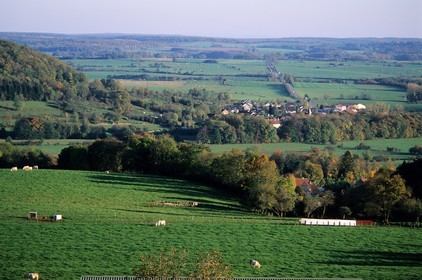 France, Haute Marne, typical local countryside