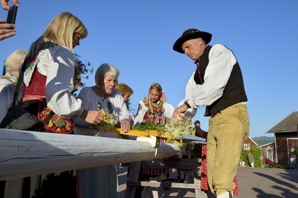 Sweden, Dalarna County, Leksand area, Midsummer celebrations in the tiny hamlet of Hjulbäck, preparation of the maypole