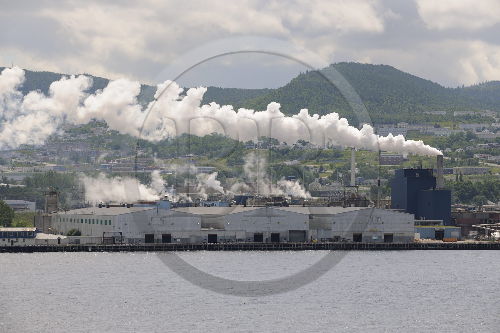 Canada, province de Terre-Neuve et Labrador, Ile de Terre-Neuve, ville de Corner Brook, l'usine de Corner Brook Pulp and Paper