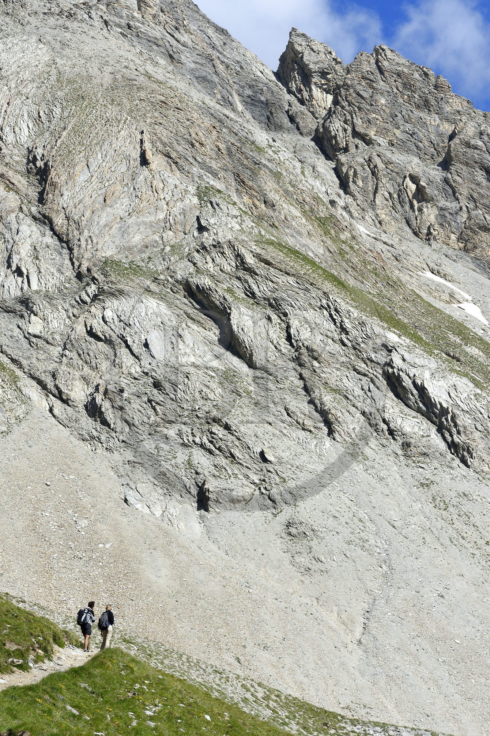 France, Alpes-de-Haute-Provence (04), Uvernet-Fours, parc national du Mercantour, vallée de l'Ubaye, col de la Cayolle (2326 m), sentier de randonnée qui grimpe à travers la pelouse alpine sur le circuit des lacs sous le sommet de la montagne du Trou de l’Aigle