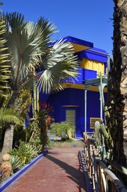 Morocco, High Atlas, Marrakech, Imperial city, Gueliz district, Majorelle Garden founded in 1931 by the French painter Jacques Majorelle in 1980 and bought by Yves Saint Laurent and Pierre Berge
