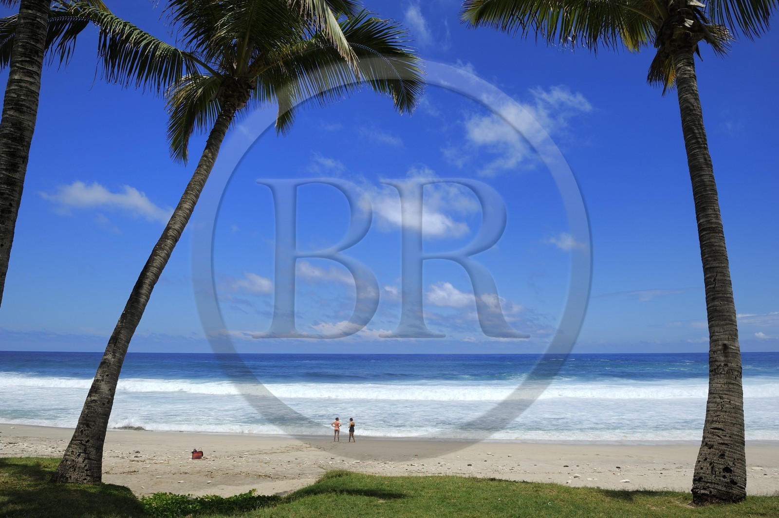 France, île de la Réunion, la côte sud, plage de Grand-Anse