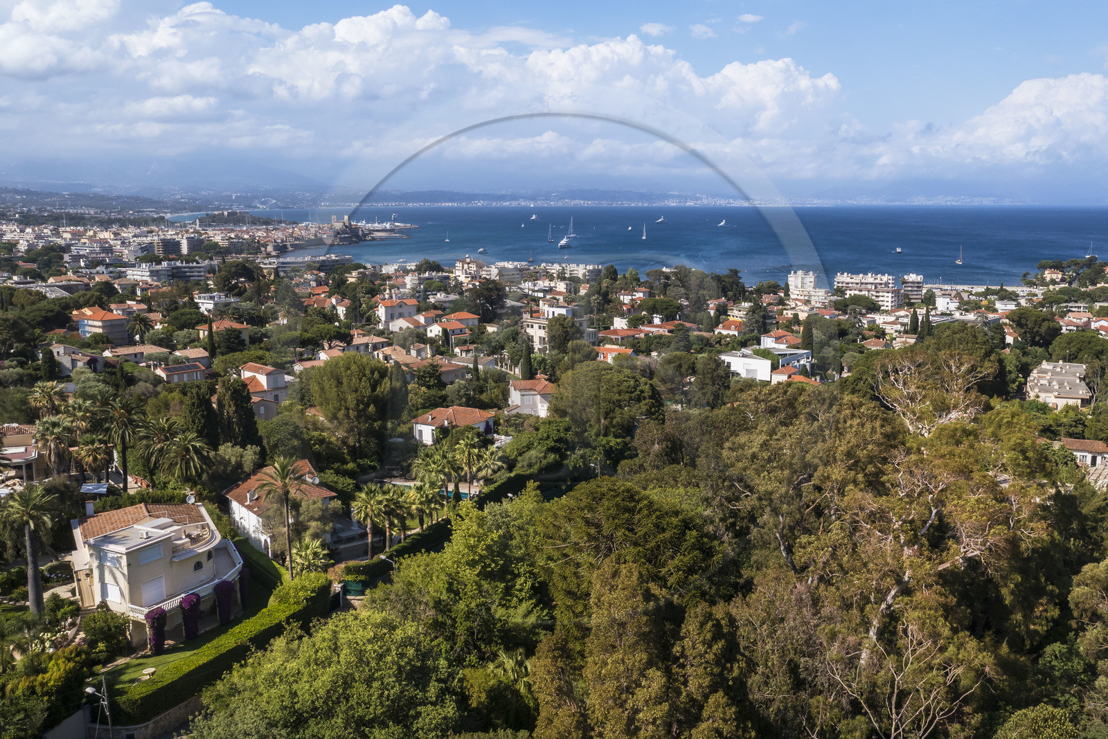 France, Alpes-Maritimes (06), Antibes, Le Jardin Botanique de la Villa Thuret (rattachée à l'INRAE), labellisé Jardin Remarquable et Arbre Remarquable, la ville d'Antibes en arrière plan (vue aérienne)