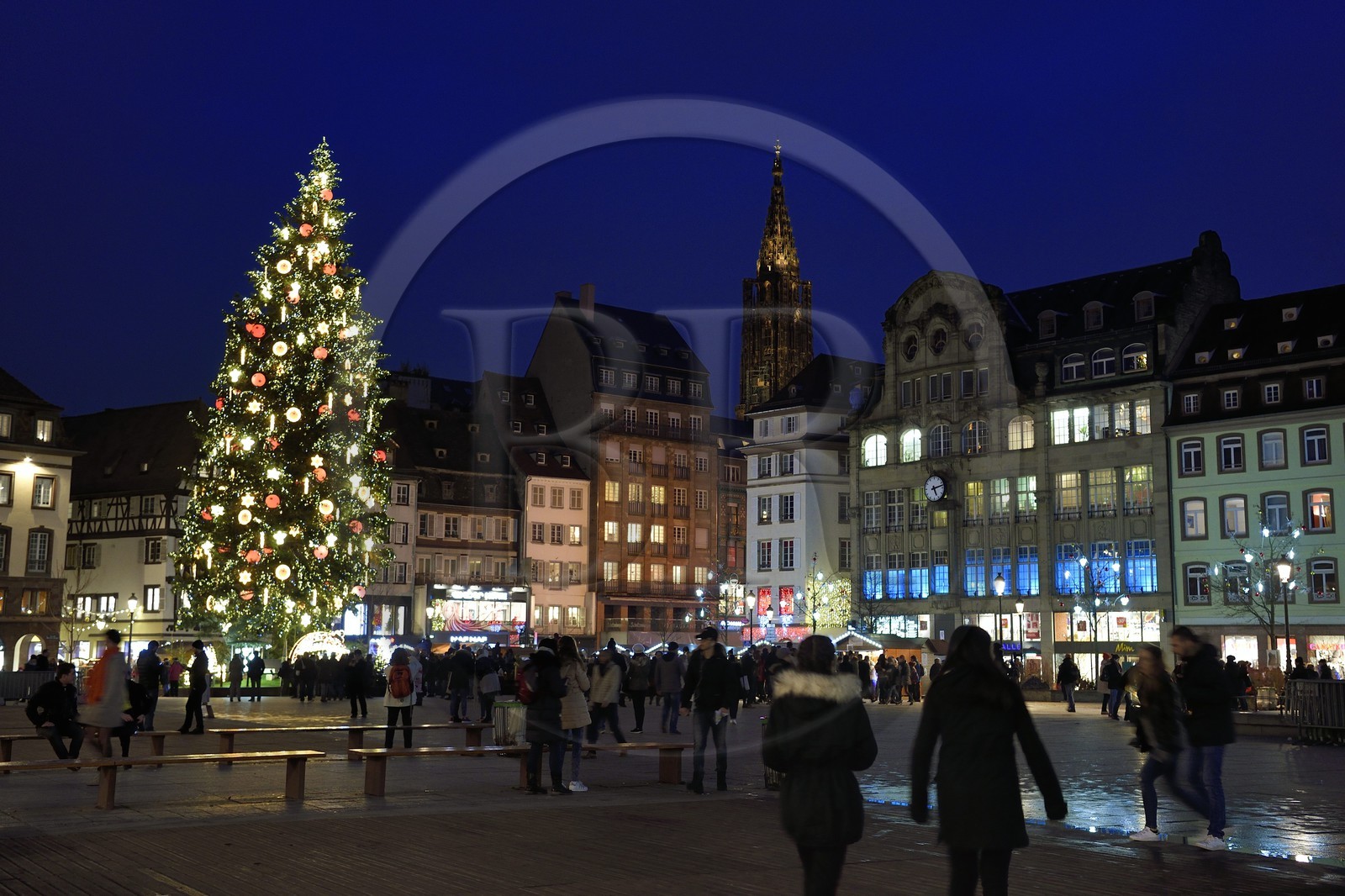 France, Bas-Rhin (67), Strasbourg, vieille ville classée au Patrimoine Mondial de l'UNESCO, le Grand Sapin de Noel de la place Kléber et la cathédrale Notre-Dame en arrière plan