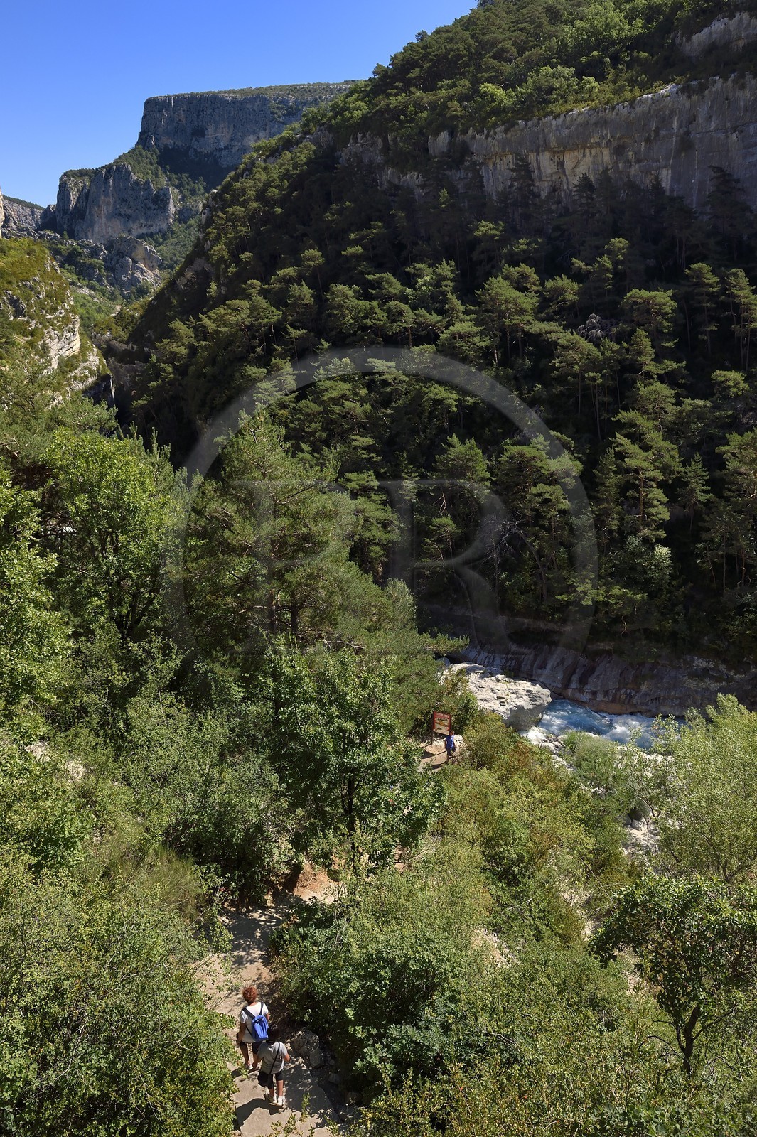 France, Alpes-de-Haute-Provence (04), Parc Naturel Régional du Verdon, les Gorges du Verdon, sentier d'accès au couloir Samson en contrebas du village de Rougon et du Point Sublime