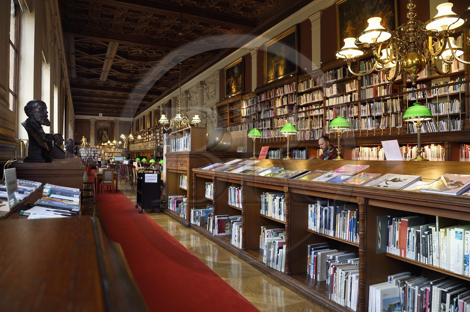 France, Paris (75), quartier de Saint-Germain-des-Prés, Ecole nationale supérieure des Beaux-Arts, la bibliothèque dans le Palais des Etudes