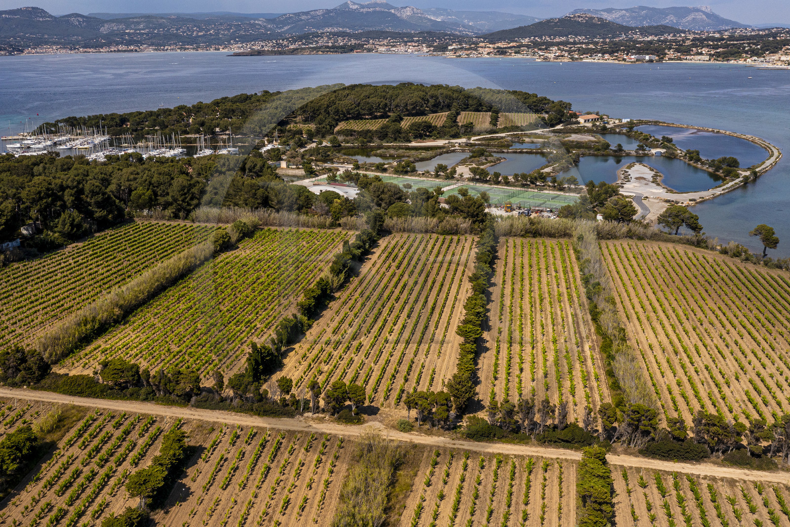 France, Var, Six Fours les Plages, Ile des Embiez, vineyard in the foreground and the ancient salt marshes (aerial view)