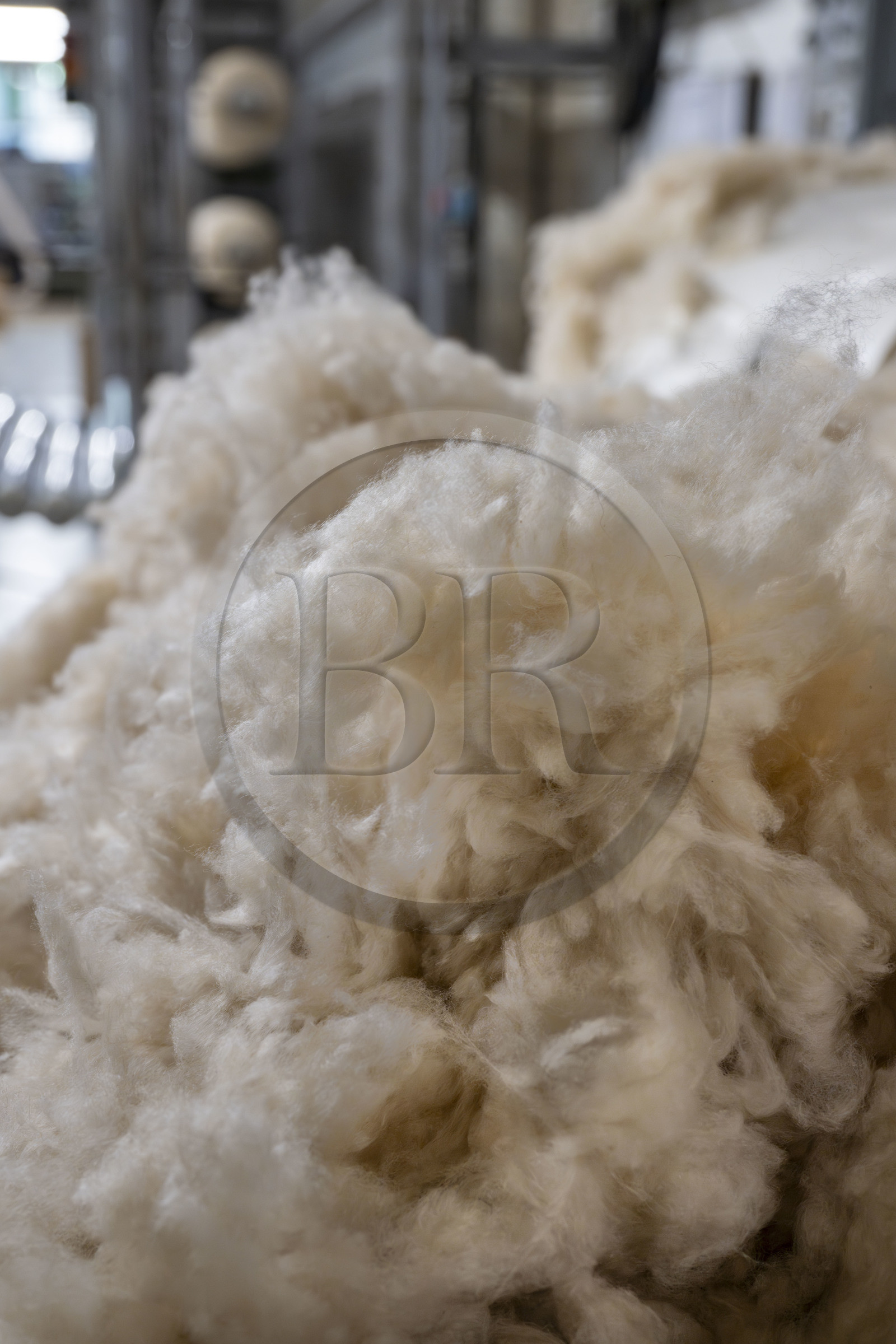 France, Vaucluse (84), L'Isle-sur-la-Sorgue, Manufacture Brun de Vian-Tiran, industrie textile lainière labellisée Entreprise du patrimoine vivant, poil des chèvres du Cachemire