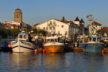 France, Pyrenees Atlantiques, Basque Country, Saint Jean de Luz, the fishing port, the Saint-Jean-Baptiste (Saint John the Baptist) Church left and the white facade of the town hall on the right