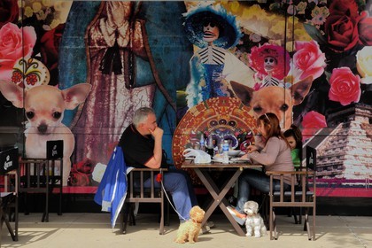 Argentine, Buenos Aires, quartier de Puerto Madero, café en bordure du quai