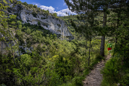 France, Vaucluse, Mont Ventoux Regional Natural Park, Monieux, Gorges de La Nesque, hiker progressing on a path on the heights facing the rocky bars