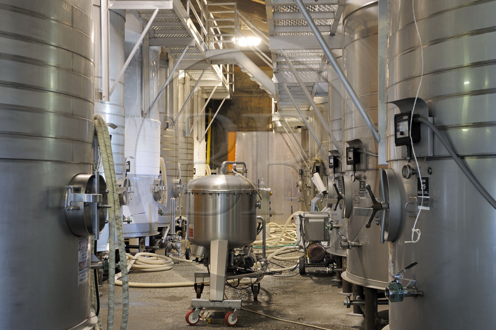 Etats-Unis, Californie, Russian Valley River, la propriété viticole de De Loach