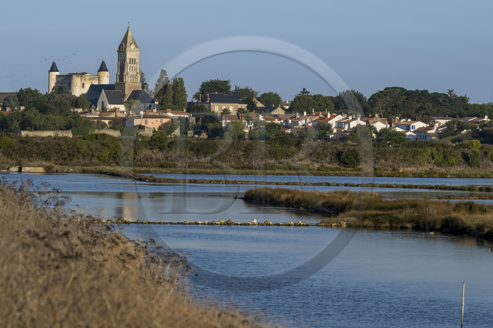 France, Vendée (85), Ile de Noirmoutier, Noirmoutier-en-l'Ile, le château médiéval et l'église Saint-Philbert