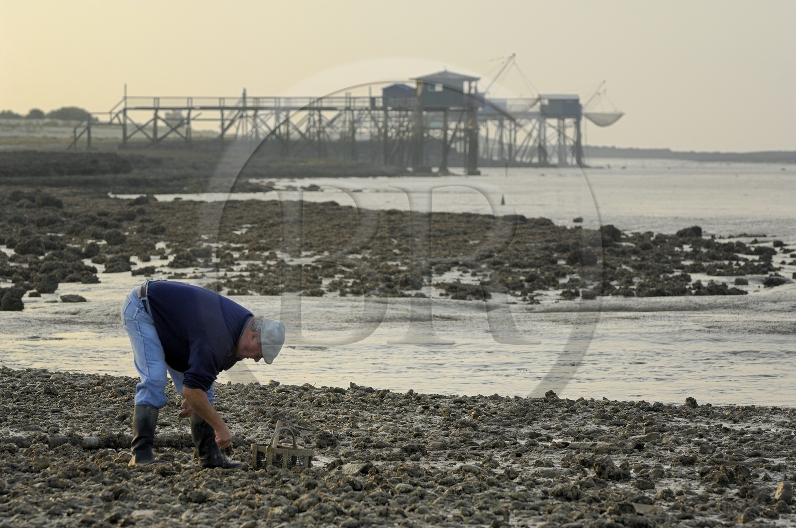 France, Charente-Maritime (17), Ile Madame, pêche à pied et carrelets sur la côte
