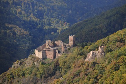 France, Haut Rhin, Ribeauville, Saint-Ulrich Castle and Girsberg Castle right (aerial view)