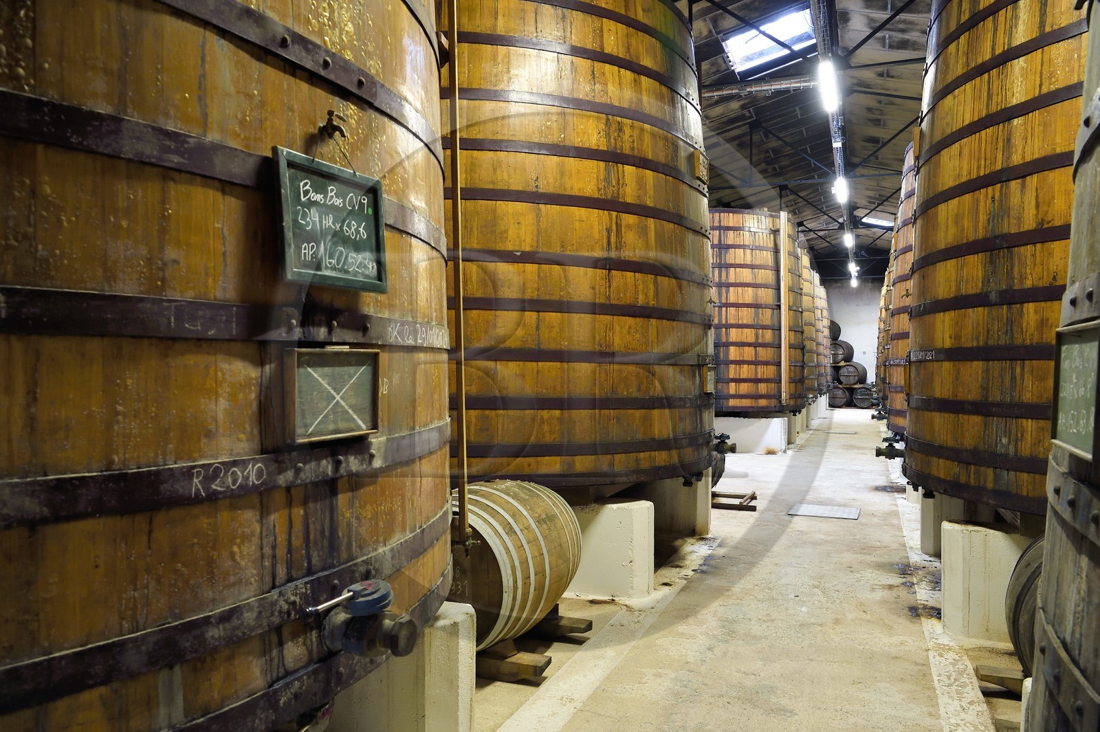 France, Charente (16), Sireuil, Distillerie des Moisans, foudres dans les chais de vieillissement et d'assemblages France, Charente, Sireuil, Distillerie des Moisans, foudres (large barrell) in aging and blending cellars