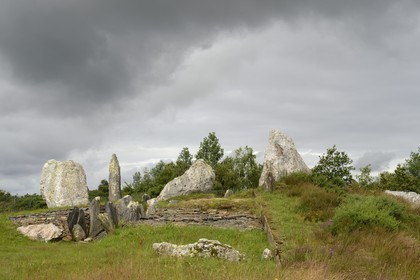 France, Ille-et-Vilaine (35), Saint-Just, monuments mégalithiques de la Lande de Cojoux, dolmen à cabinets latéraux de 3500 ans avant JC appelé le chateau Bû