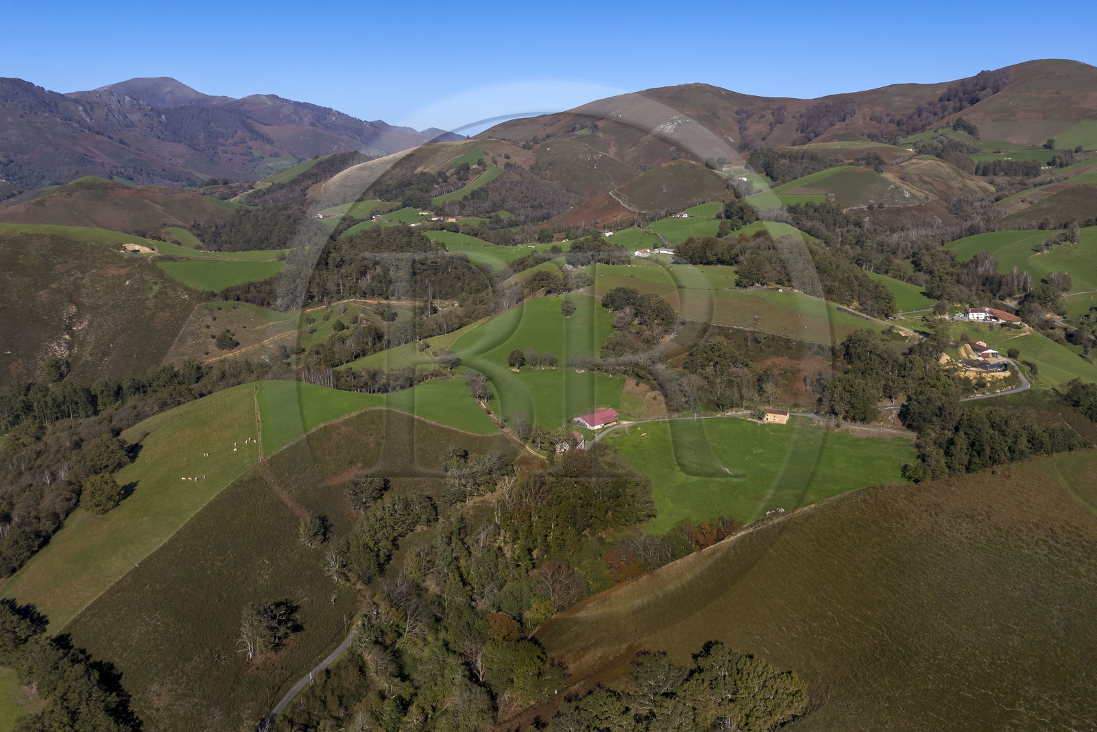 France, Pyrenees Atlantiques, Basque Country, Aldudes valley, farms from the village of Urepel (aerial view)