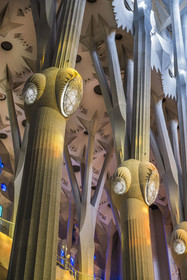 Spain, Catalonia, Barcelona, Eixample district, Sagrada Familia basilica by Catalan modernist architect Antoni Gaudi, listed as a UNESCO World Heritage Site, above the node, the columns of the central vessel (nave) are subdivided into branches like a tree, illuminated by the warm projections of the stained glass windows on the Passion facade