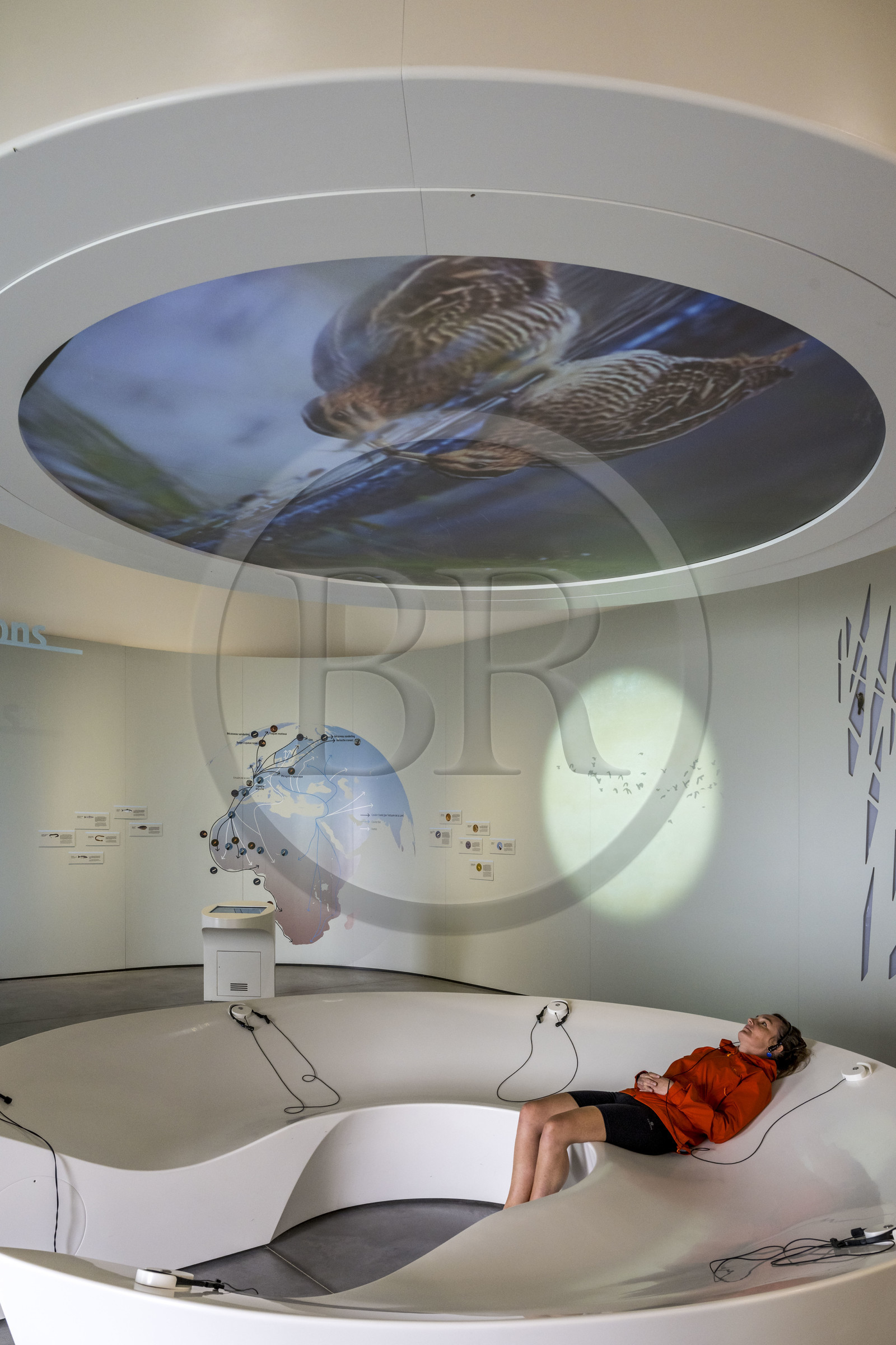 France, Loire-Atlantique (44), Cordemais, le centre de découverte Terre d’Estuaire, suivre la migration des oiseaux de l’estuaire