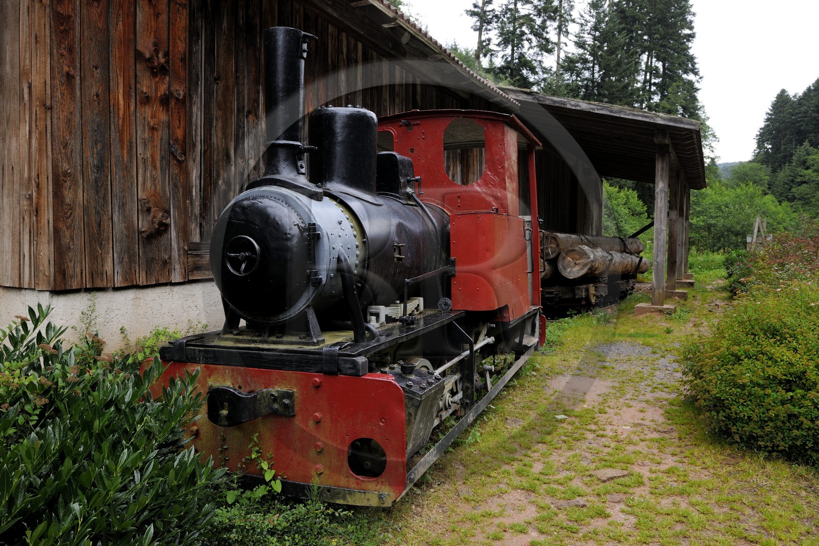 France, Moselle (57), Abreschviller, le petit train anciennement train forestier, Locotracteur 020 Gmeinder-Kaelble type Heeresfeldbahn HF 50 à écartement variable construit pour l’armée allemande en 1944