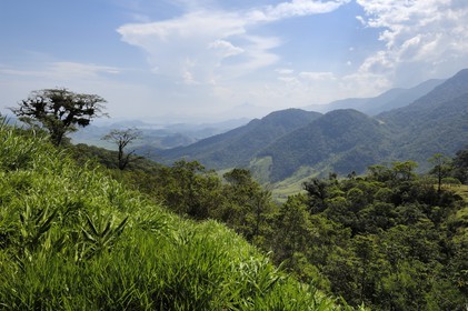 Brazil, Rio de Janeiro State, Serra da Mantiqueira, Parque Nacional de Serra da Bocaina along the Bay of Paraty (Gold Route, Estrada Real)
