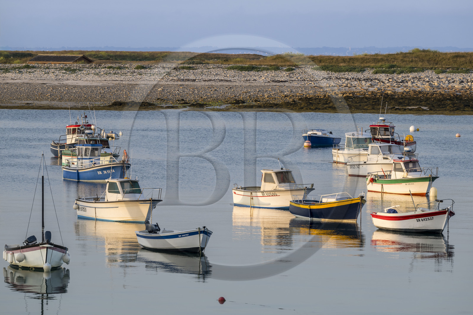 France, Finistère, Iroise Sea, Molene Island, the fishing boats are at anchor in the summer between the town and the Lédenez Vraz islet in the background