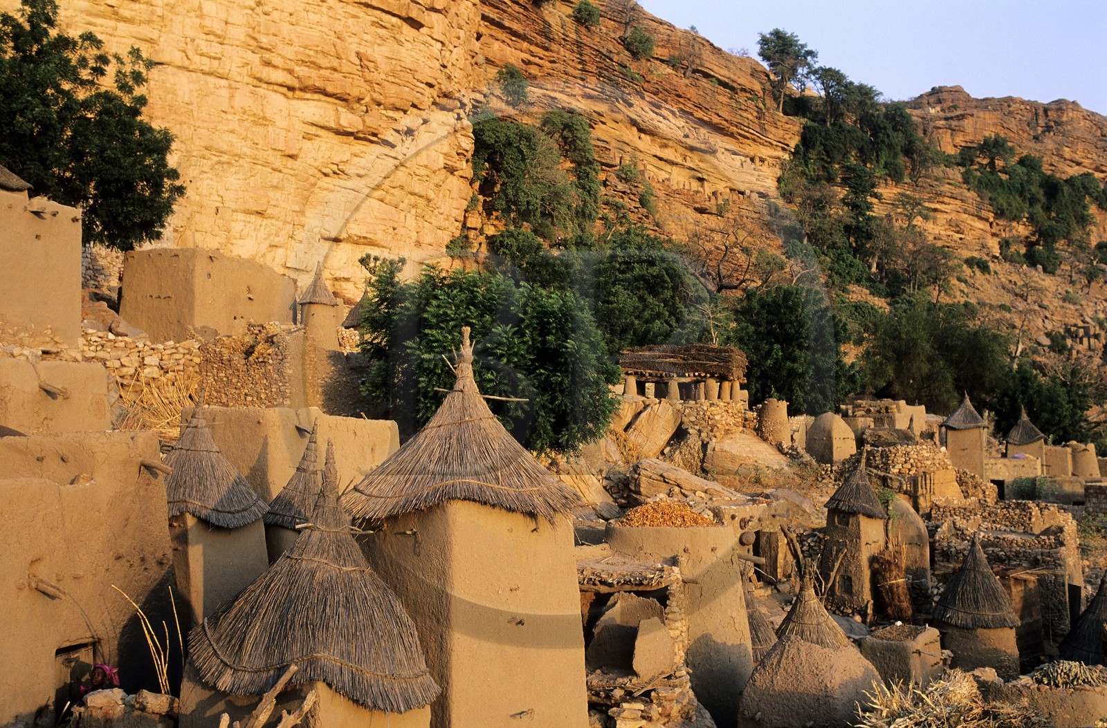 Mali, Pays Dogon, village de Banani au pied de la falaise de Bandiagara classée Patrimoine Mondial de l'UNESCO, greniers à céréales