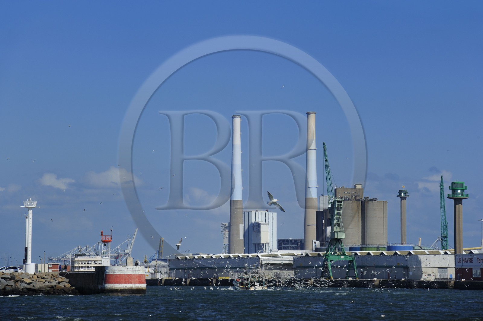France, Seine Maritime, Le Havre, fishing boat returning to port followed by a flock of seagulls